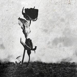 LXE, BALADJA - Как я тебя любил