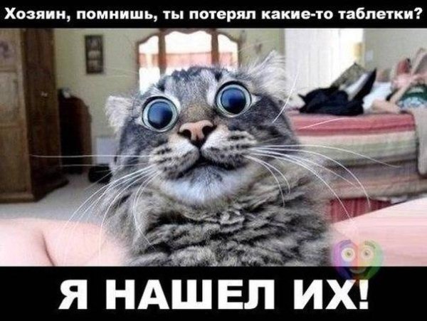 LOBODA - Пипец глаза (Пародия на Твои глаза)