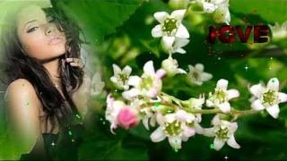 SEVENROSE - Пусть распускаются цветы в саду весеннем у реки