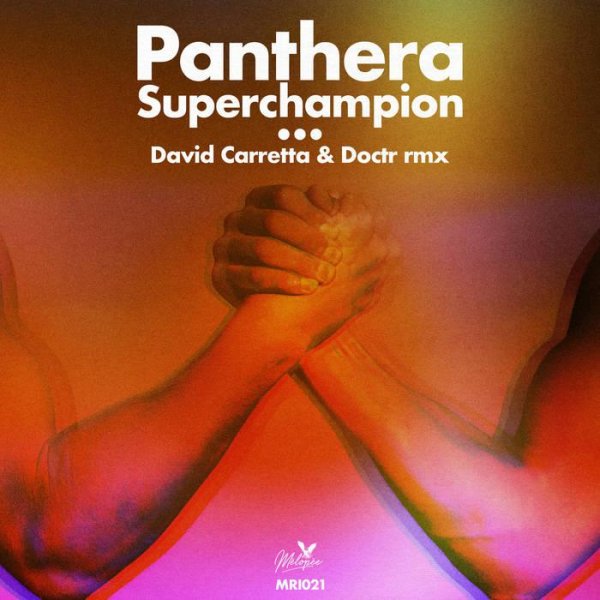 Panthera - Clarion