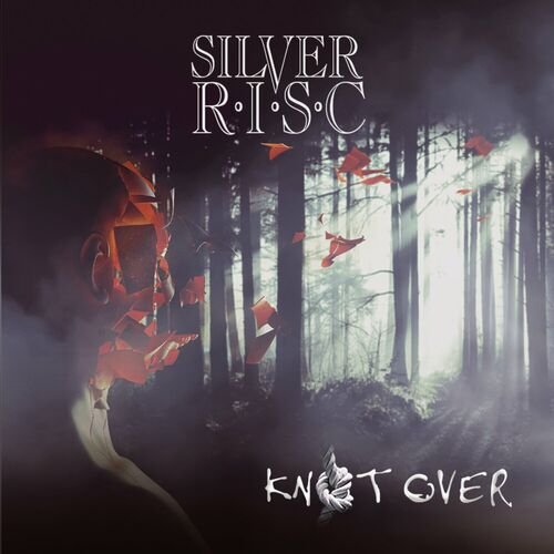 Silver R.I.S.C. - The Sinner