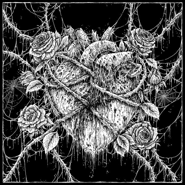 DEAD VELVET - This Disease
