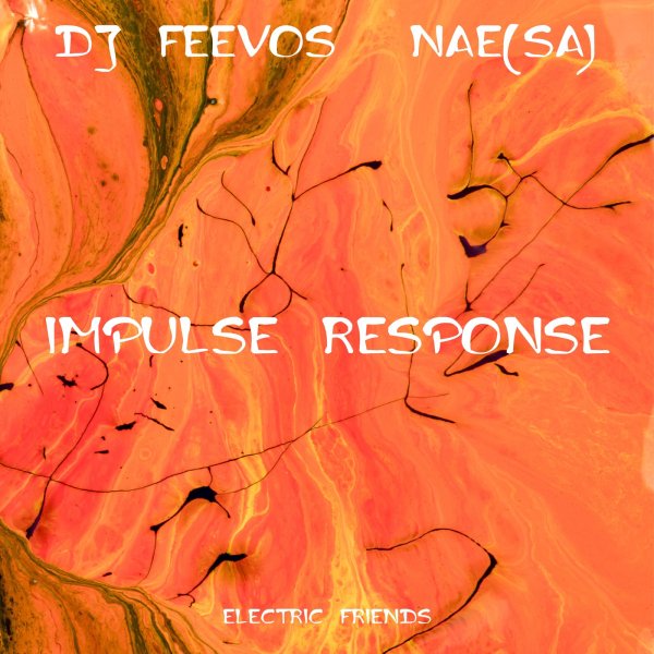 DJ Feevos, NAE (SA) - Impulse Response (Original Mix)