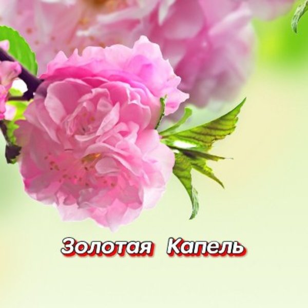 Гравитация - Ты моя сестра