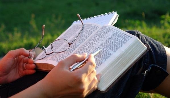 DWA - Не поддерживай бунтарей