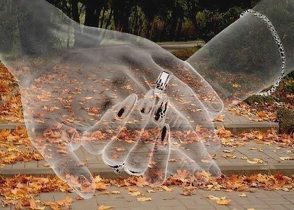 Славво - Это Лучшая Свадьба (2015)