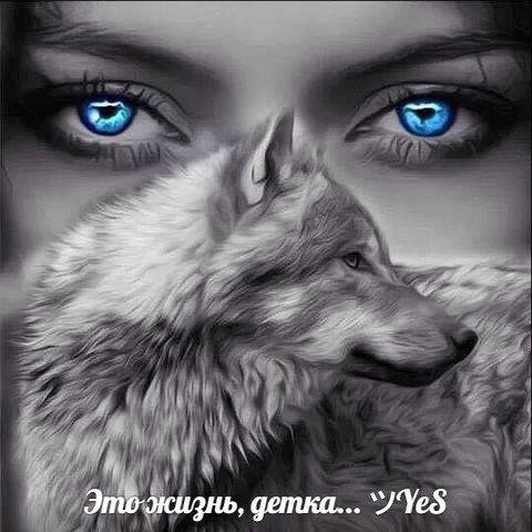 ПРОЕКТ ДИМАС - ГОЛУБОГЛАЗАЯ