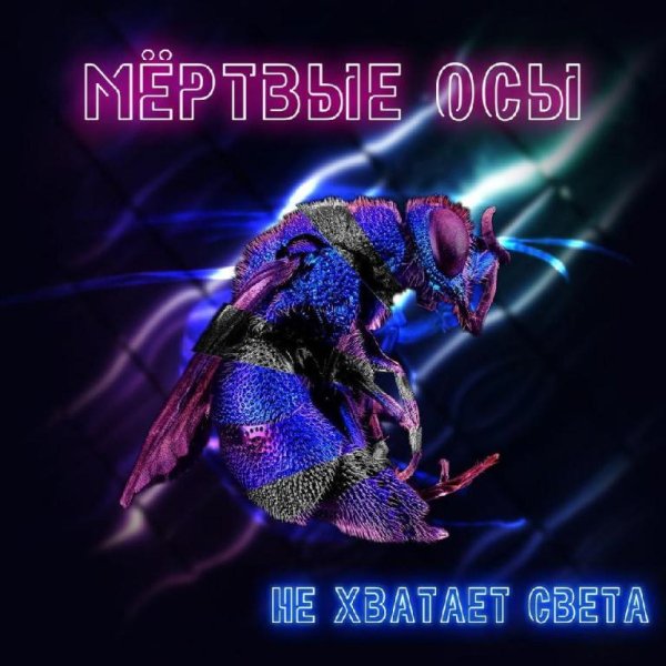 Мёртвые Осы - Не хватает света