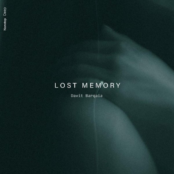 Davit Barqaia - Lost Memory