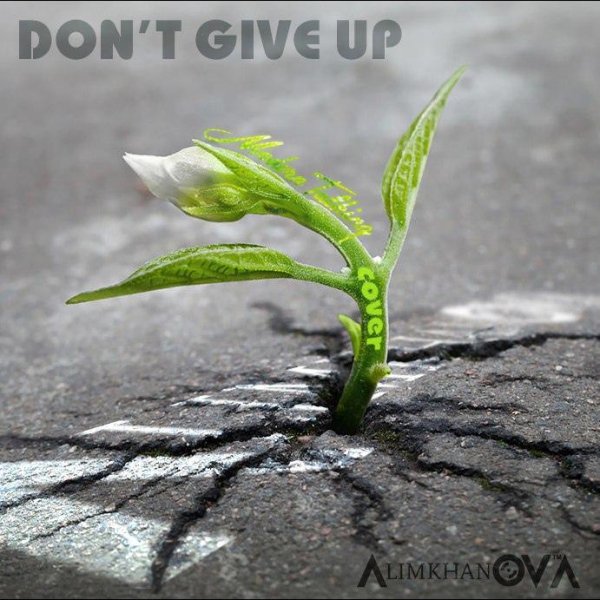 AlimkhanOV A. - Don't Give Up (Modern Talking Cover)