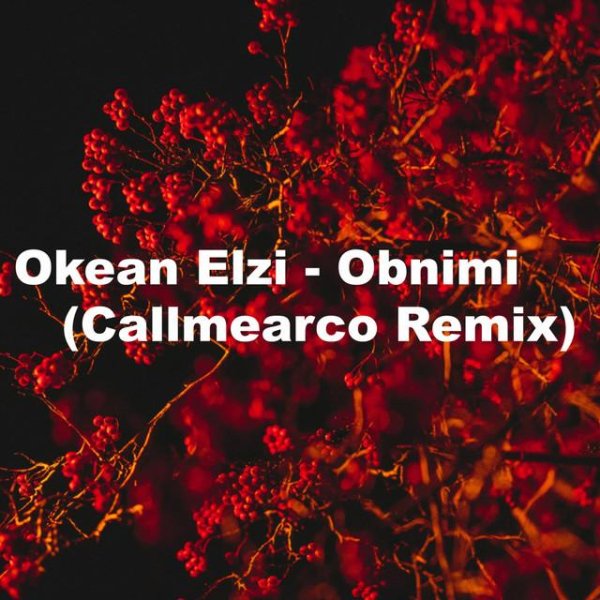 Океан Ельзи - Обними (Callmearco Remix)