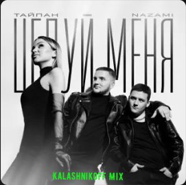 Тайпан, NAZAMI - Целуй меня (KalashnikoFF Mix)