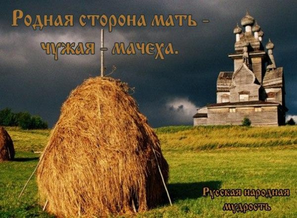 Михаил Плетнев  Петр Чайковский. _Времена года_. Август - Михаил Плетнев  Петр Чайковский. _Времена года_. Август