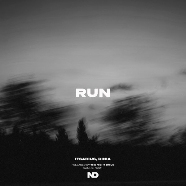 ItsArius, Dinia - Run