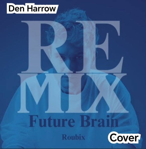ROUBIX - FUTURE BRAIN (Cover Remix 2024)