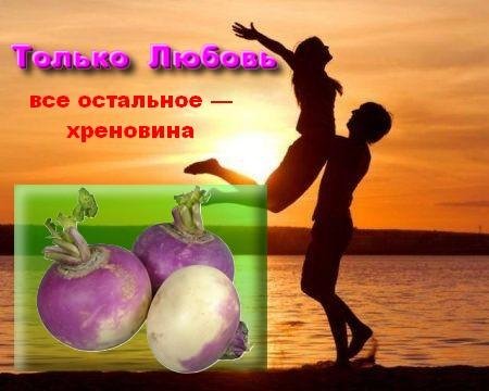 mix by Janoyan - Любовь истинна, все остальное  хреновина