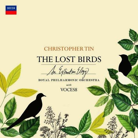 Christopher Tin - All That Could Never Be Said