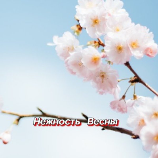 Гравитация - Мой ангел
