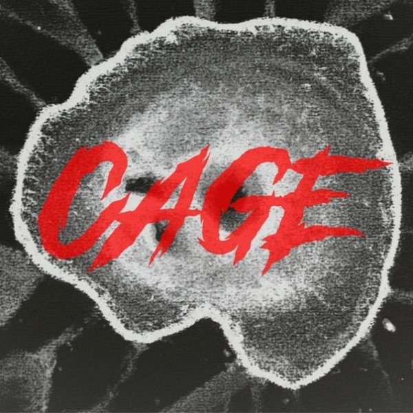 Ice Sealed Eyes - Cage