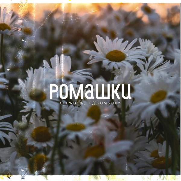 Seewoow, Где смысл? - Ромашки