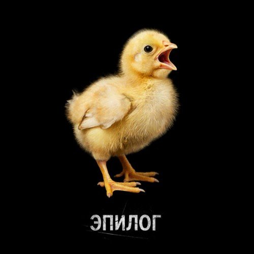Роман Рябцев, Paul Baldhill - Надежда