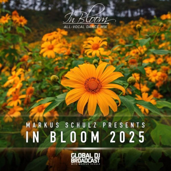 Sam Allan &amp; Sarah De Warren - Secrets Of Your Heart (In Bloom 2025) (Scorz Remix)