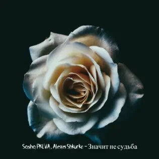 Sasha Pklva &amp; Alexei Shkurko - Значит Не Судьба