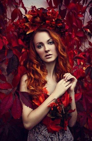 Ференц Лист - Грёзы любви