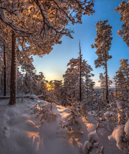 Лена Савельева - Утренний снег