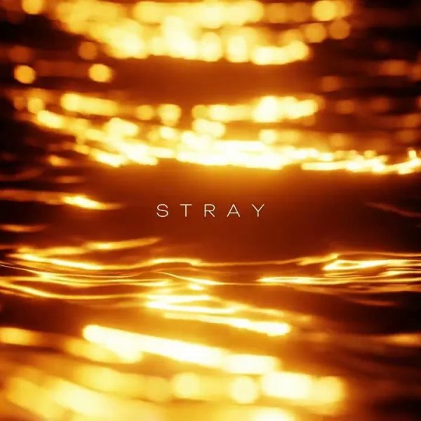 R3DN1K - Stray (Original Mix)