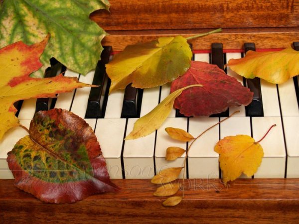 Stephen Coombs  Ian Munro,   pianos - 03. Suite no1, op.151__ 3. Polonaise