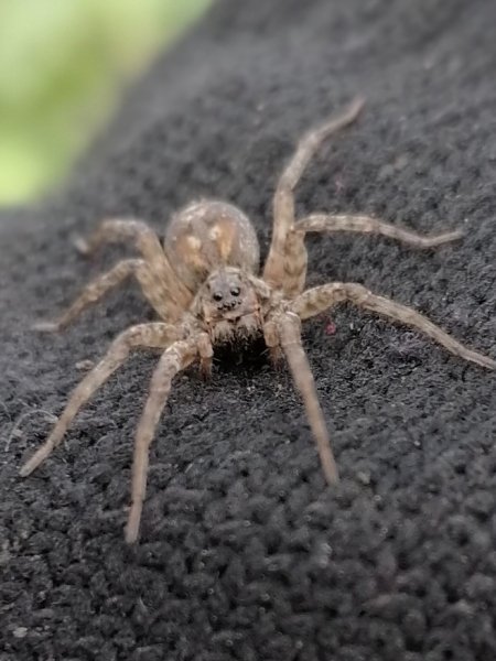 Modern_Talking - Brother_Louie_(Dj_Ramezz_Remix_Radio_Edit).mp3