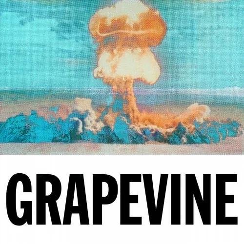 Tiesto - Grapevine (Tujamo Extended Remix)