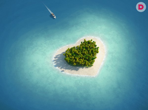 picture_316010243