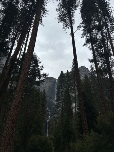 picture_413111644