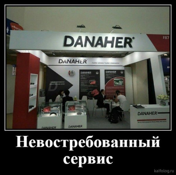picture_379717594
