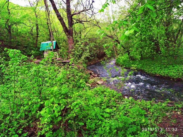 IMG 20190503 113321