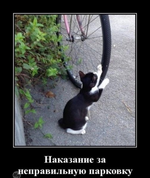 Наказание