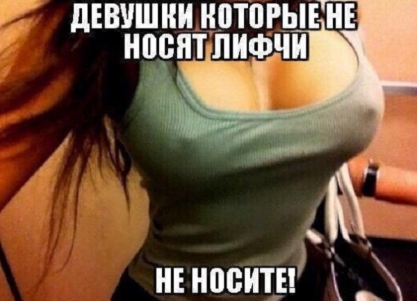 picture_281295965