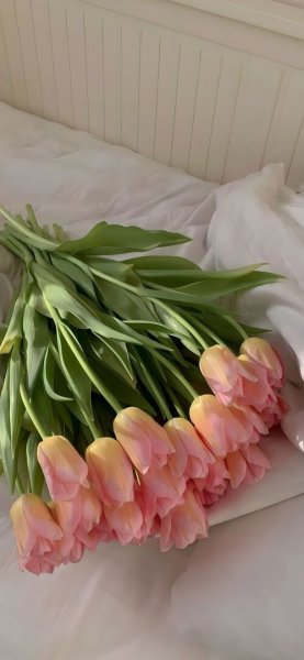 picture_358788699