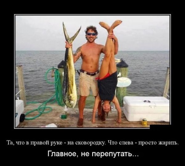 На сковородку и пожарить