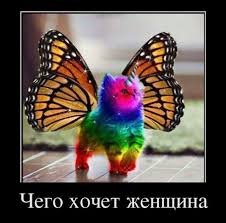 pics