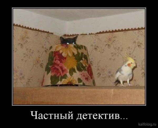 picture_381322345
