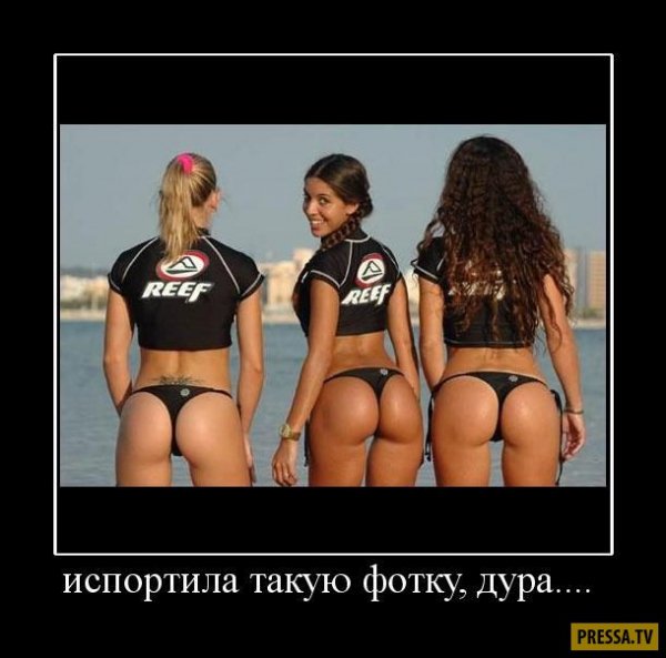 Горячие демотиваторы