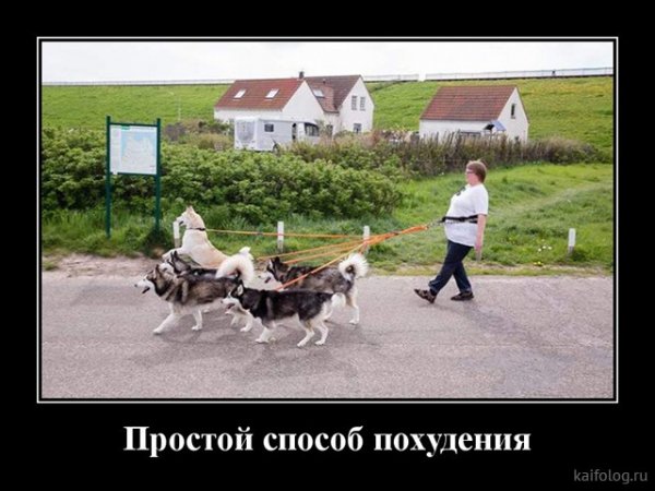 picture_378856740