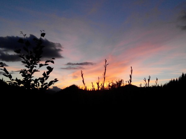 IMG 20160710 214120