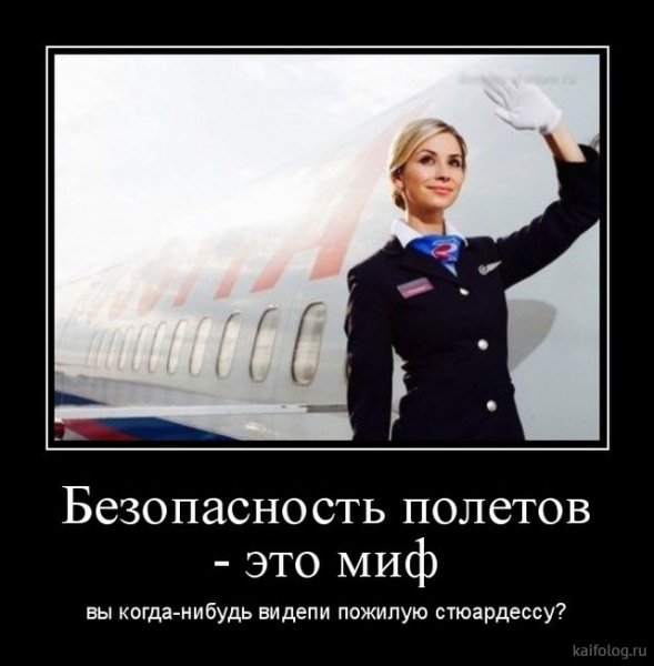 picture_378778556