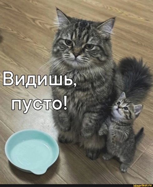 f.1200.1200.0