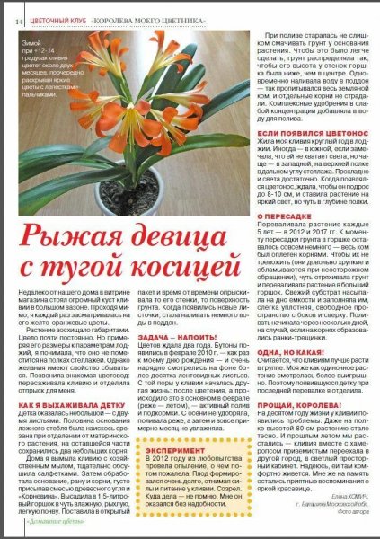 Кливия