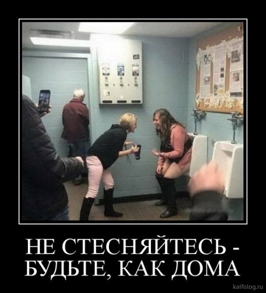 picture_378885214